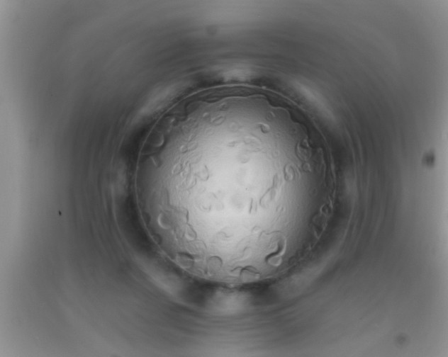 X0000092110311200709191333