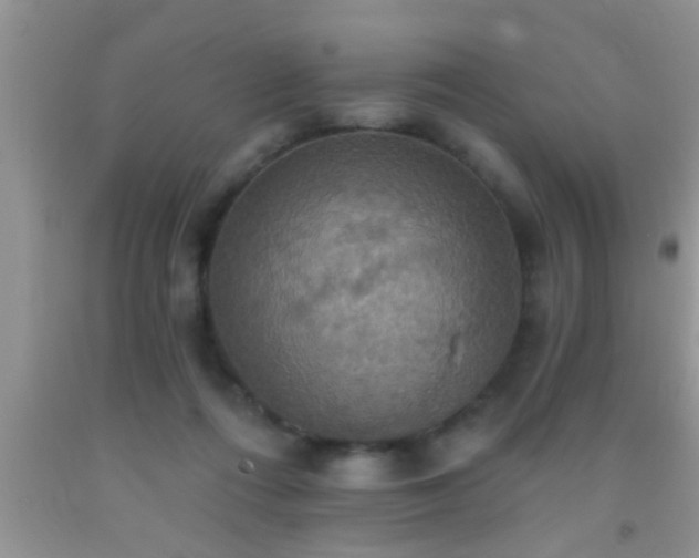 X0000092110312200709191333