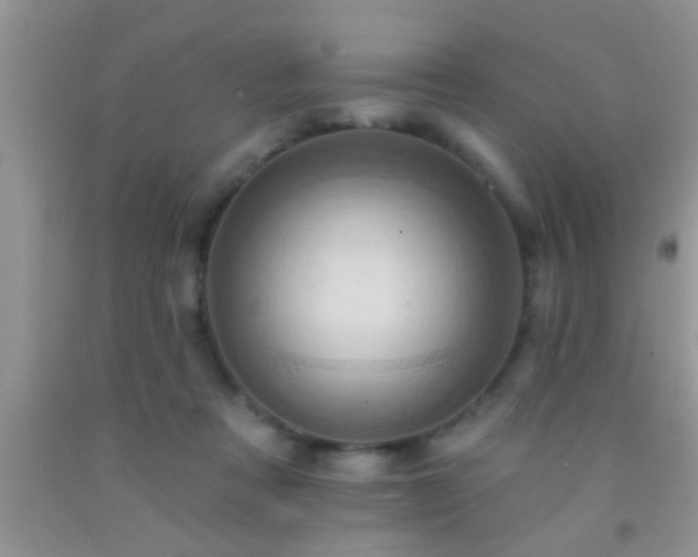 X0000092110313200709191333