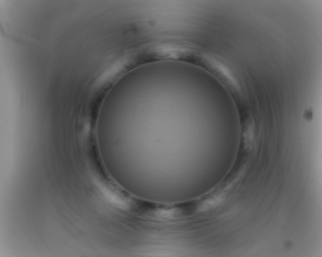 X0000092110314200709191333