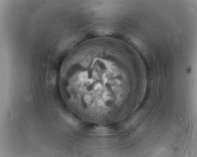 X0000092110315200709191333