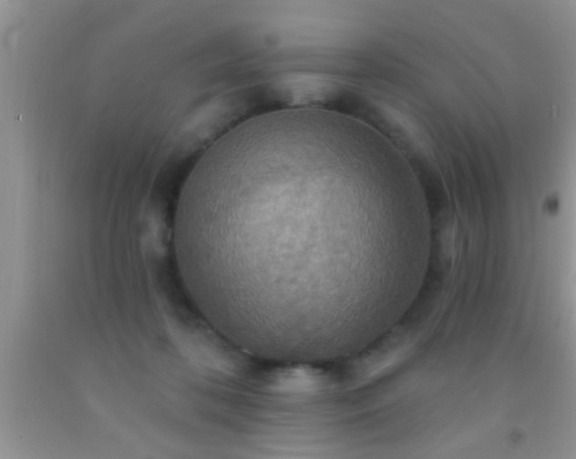 X0000092110316200709191333