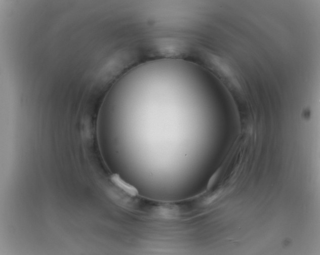 X0000092110317200709191333