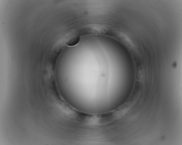 X0000092110318200709191333