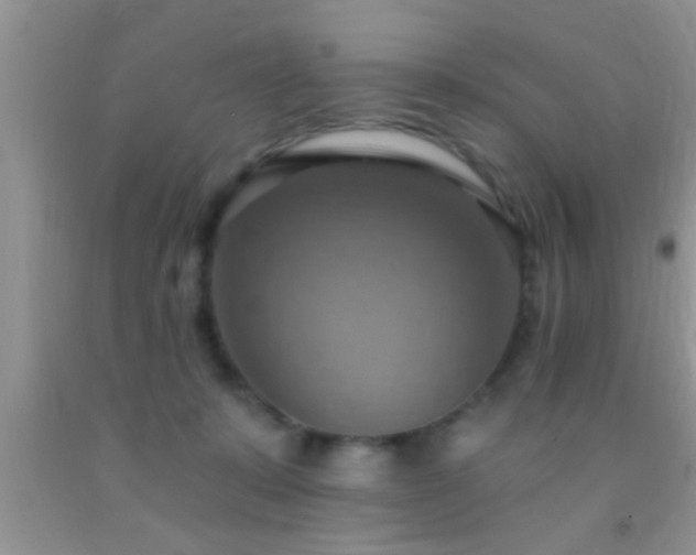 X0000092110319200709191333