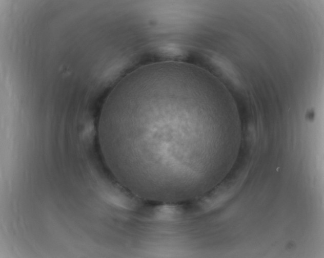 X0000092110320200709191333