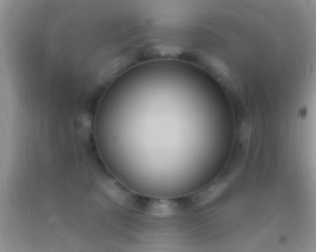 X0000092110321200709191333