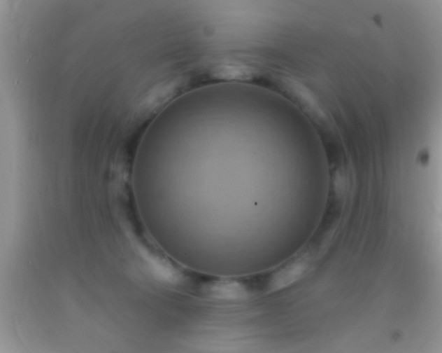 X0000092110322200709191333