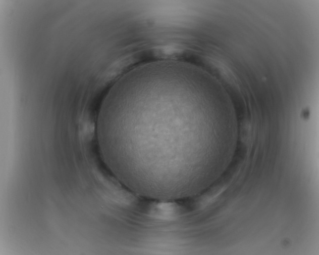 X0000092110324200709191333