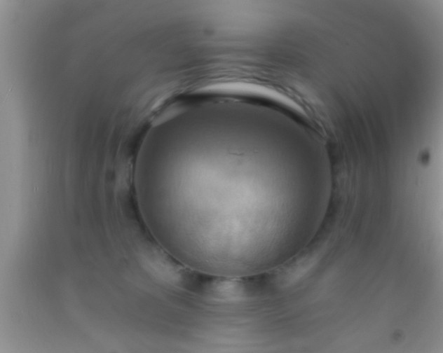 X0000092110325200709191333