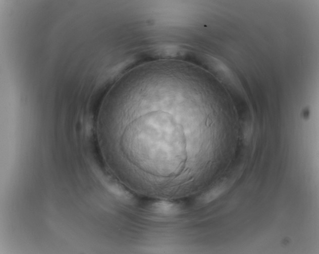 X0000092110326200709191333