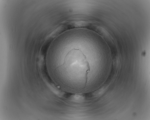 X0000092110327200709191333