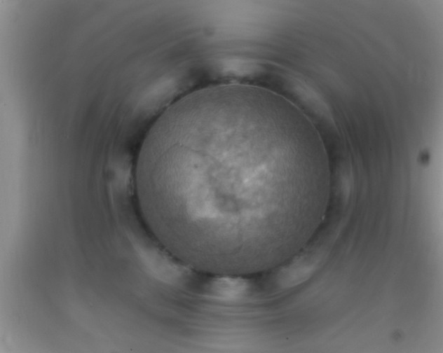 X0000092110328200709191333