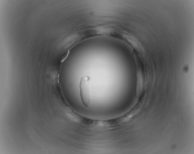 X0000092110329200709191333