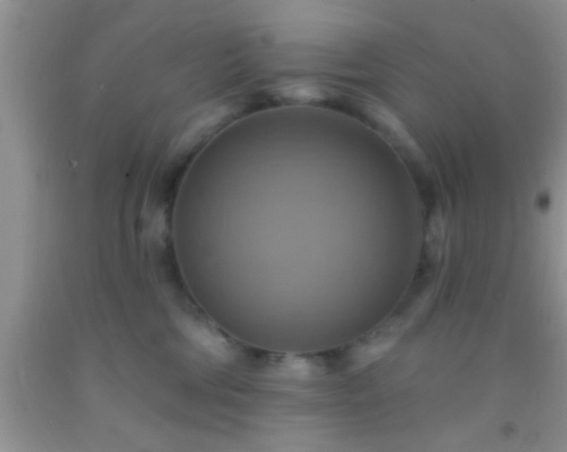 X0000092110330200709191333