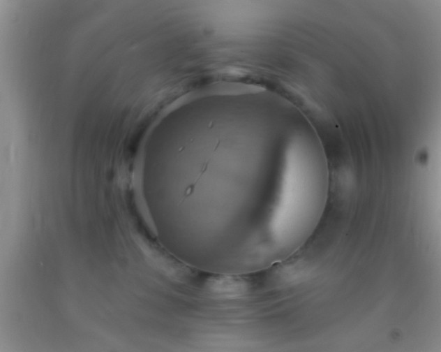 X0000092110331200709191333