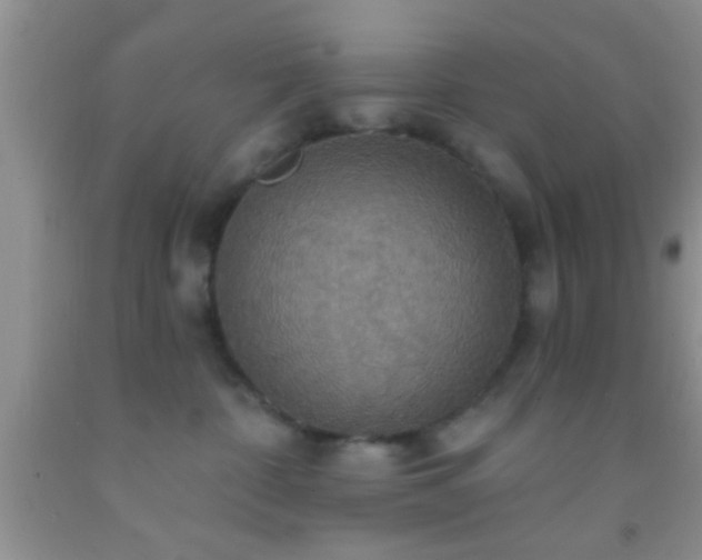 X0000092110332200709191333