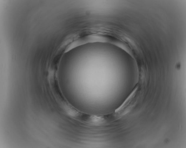 X0000092110333200709191333