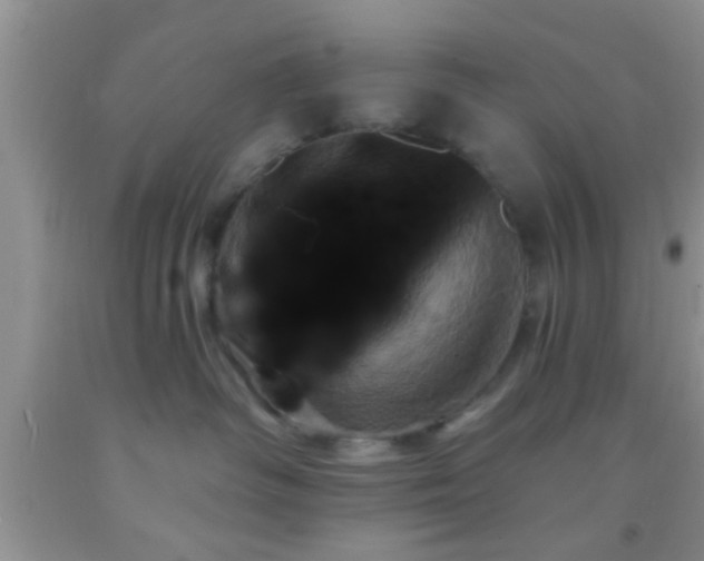 X0000092110334200709191333