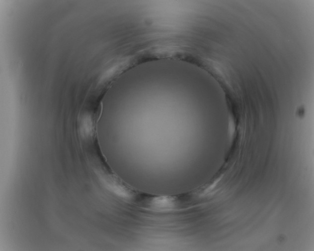 X0000092110335200709191333