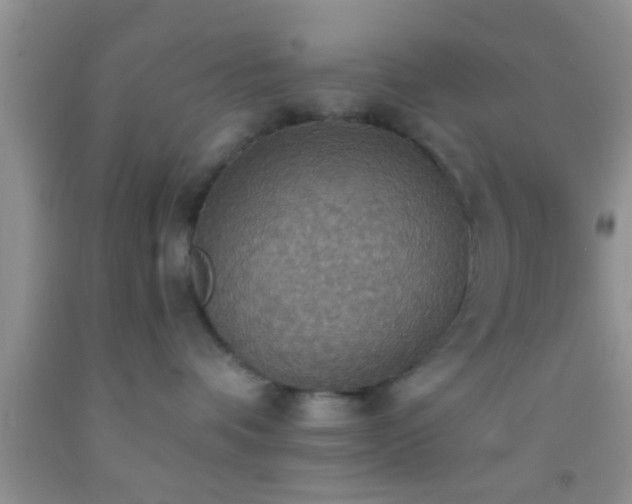 X0000092110336200709191333