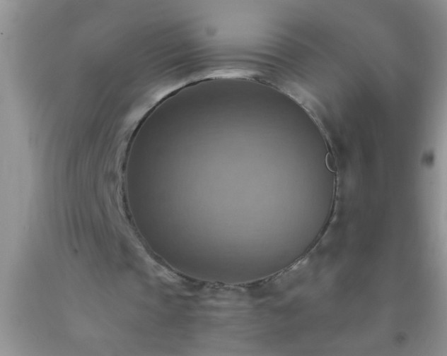 X0000092110337200709191332