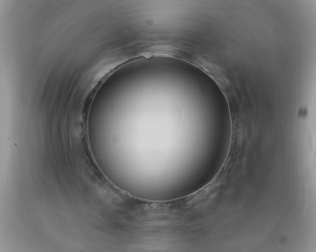 X0000092110338200709191332