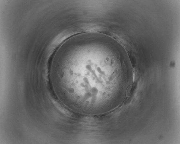 X0000092110339200709191332