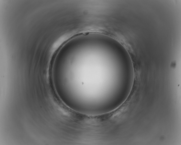 X0000092110340200709191332