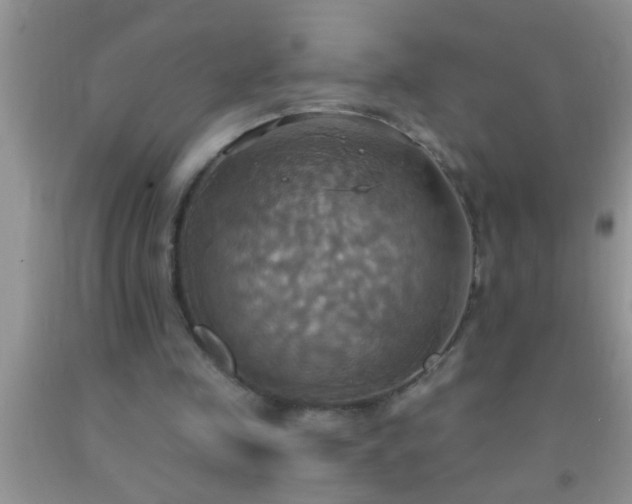 X0000092110341200709191332