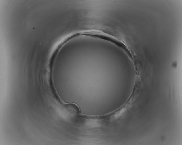 X0000092110342200709191332