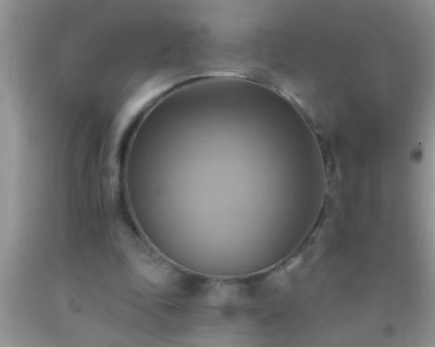 X0000092110343200709191332