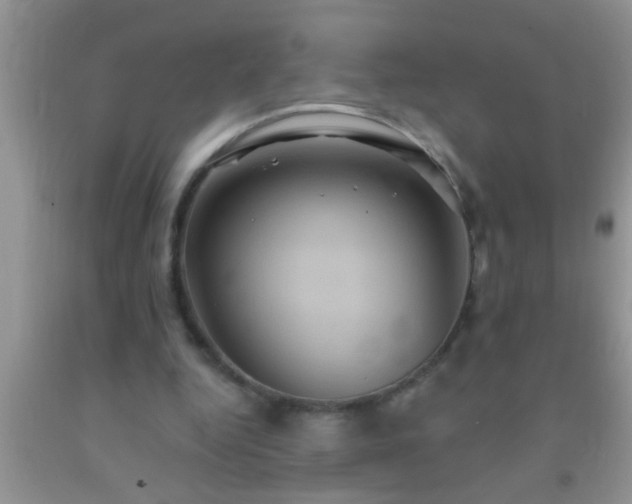 X0000092110344200709191332