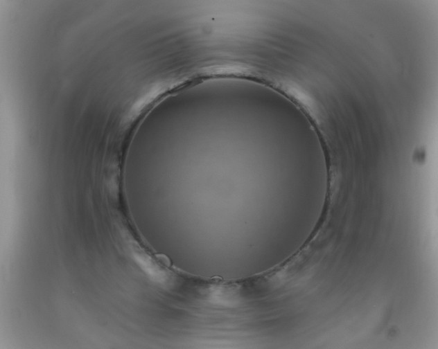 X0000092110345200709191332