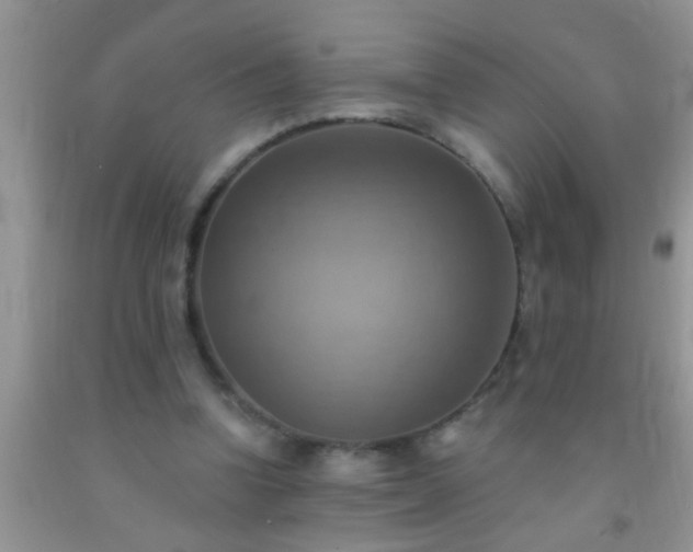 X0000092110346200709191332