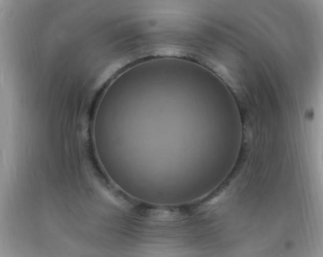 X0000092110347200709191332