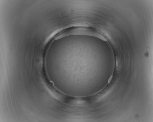 X0000092110348200709191332