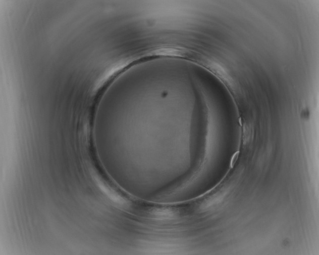 X0000092110349200709191332