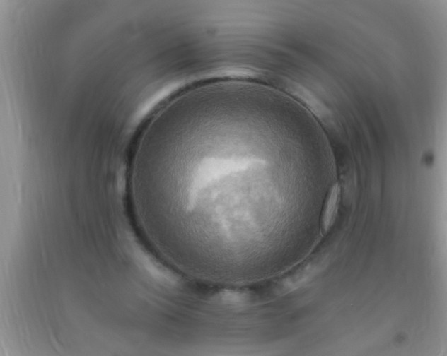 X0000092110350200709191332