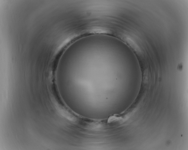 X0000092110351200709191332