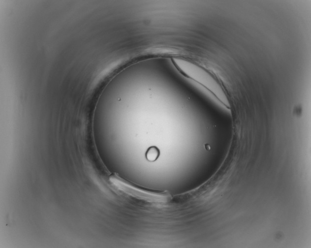 X0000092110352200709191332