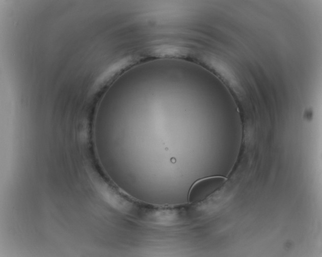 X0000092110353200709191332