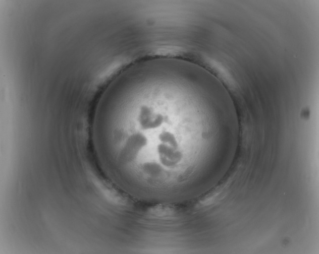 X0000092110354200709191332