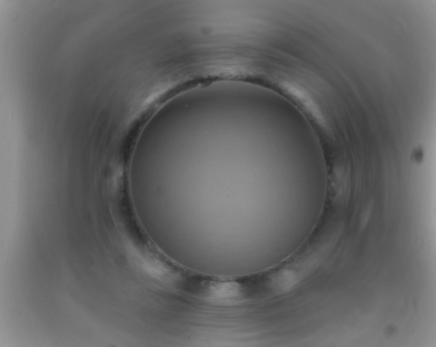 X0000092110355200709191332