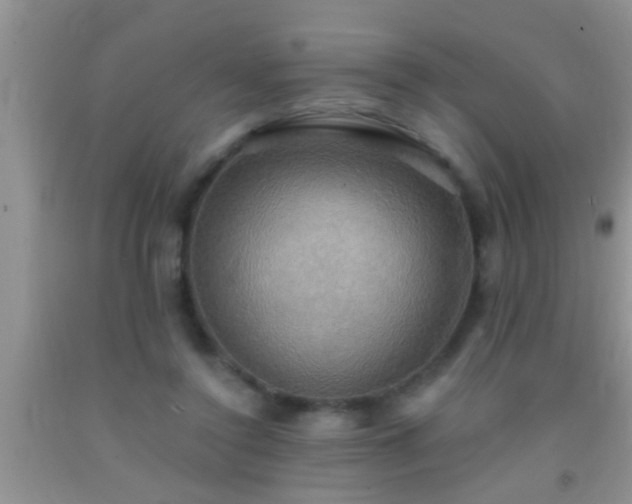 X0000092110356200709191332