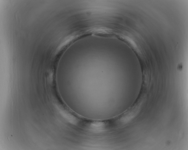 X0000092110357200709191332