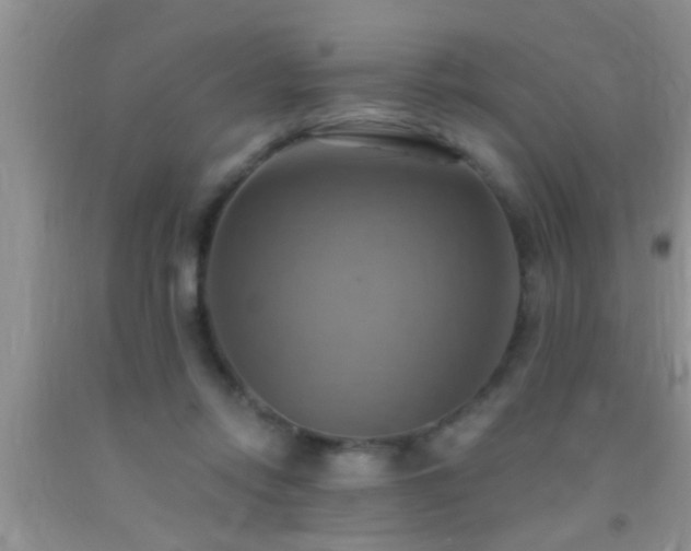 X0000092110358200709191332