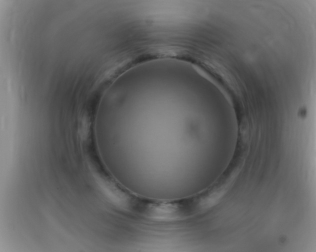 X0000092110359200709191332