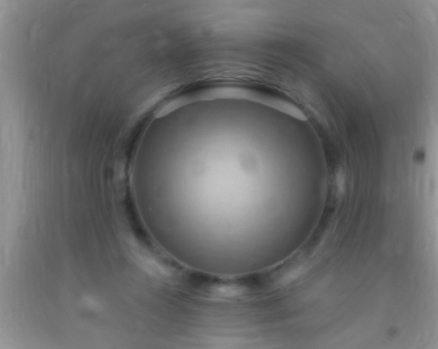 X0000092110360200709191333