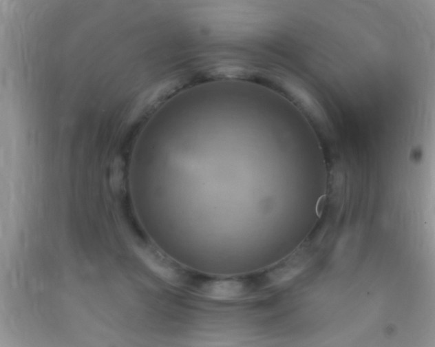 X0000092110361200709191333